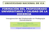 Formación del Profesorado Universitario y Calidad de la Docencia