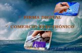Firma Digital Y Comercio Electronico