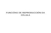 Funcións de relación e reproducción da célula
