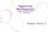 Agentes mutágenos