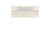 Sg t1 practicas_linux