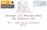 MECANISMO DE PROTECCION