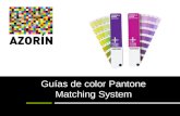 Guías de color Pantone. Matching Stystem