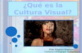 Qué es la cultura visual