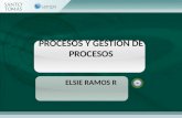 Procesos y gestion de procesos 2014.pptx