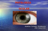 Patologia ocular