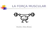 La ForçA Muscular