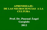 Aprendizaje de-las-neurociencias-a-la-cultura