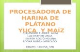 PROCESADORA DE HARINA DE PLÁTANO  YUCA  Y MAÍZ