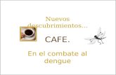 Cafe  Dengue