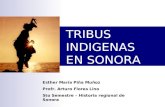 Grupos indigenas