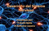 Desarrollo del sistema nervioso embrionario diapositiva