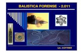 Teoria e-imagenes-balistica-forense lic.cottier-2011