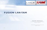 Fusion LAN-TAM