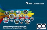 Inversiones en el sector eléctrico dominicano: perspectivas y futuro - Por Marco De la Rosa, AES Dominicana
