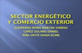 Sector Energetico Y Comercio Exterior