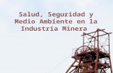 Seguridad, Salud y Medioambiente en la Minería presentación