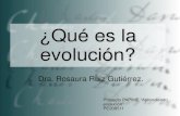Evolucion 1 rosaura.ruiz