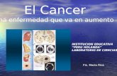 EL TEMA DEL CANCER