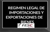 Regimen legal de importaciones y exportaciones de       bienes