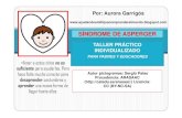 Taller practico individualizado padres y educadores: Sindrome de Asperger
