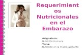 Requerimientos nutricionales durante el embarazo