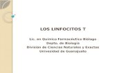 Los linfocitos t 2012