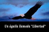 Aguila de la libertad