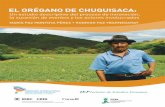 Oreganodechuquisaca: Innovación social en agricultura