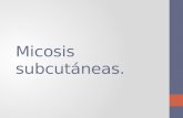 Micosis subcutaneas
