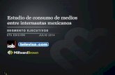 Estudio sobre los hábitos en Internet IAB Mexico Segmento Ejecutivos