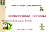 Biodiversidad peruana