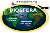 Biosfera lis