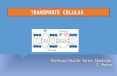 Membrana Plasmática y Transporte Celular