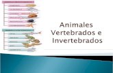 Animales vertebrados-e-invertebrados (1)