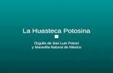 La Huasteca Potosina