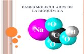 Bioelementos bases moleculares de la bioquímica 2014