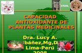 Antioxidantes 2008 dra.ibanez