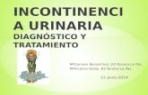 (2014-06-12) Incontinencia urinaria (PPT)