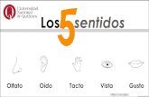 LOS 5 SENTIDOS PresentacióN