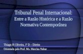 Tribunal penal internacional   mostra científica 2011 - completo