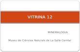 Vitrina 12 mineralogia