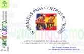 IV Jornadas Provinciales para Centros Bilingües. HUELVA. Aspectos Organizativos de Centros Bilingües. María Maeso