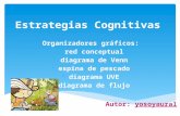 Estrategias cognitivas organizadores graficos