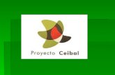 Proyecto CEIBAL Florida