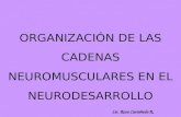 Cadenas NEUROMUSCULARES