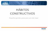 Habitos constructivos 1
