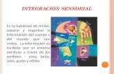 Ponencia integracion sensorial