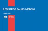 Prog Salud Mental APS, SSMOc, 2013 (Pamela Lara)