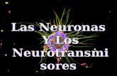 Neuronasy Neurotransmisores